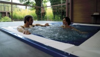 Спа бассейн Jacuzzi Virginia Professional